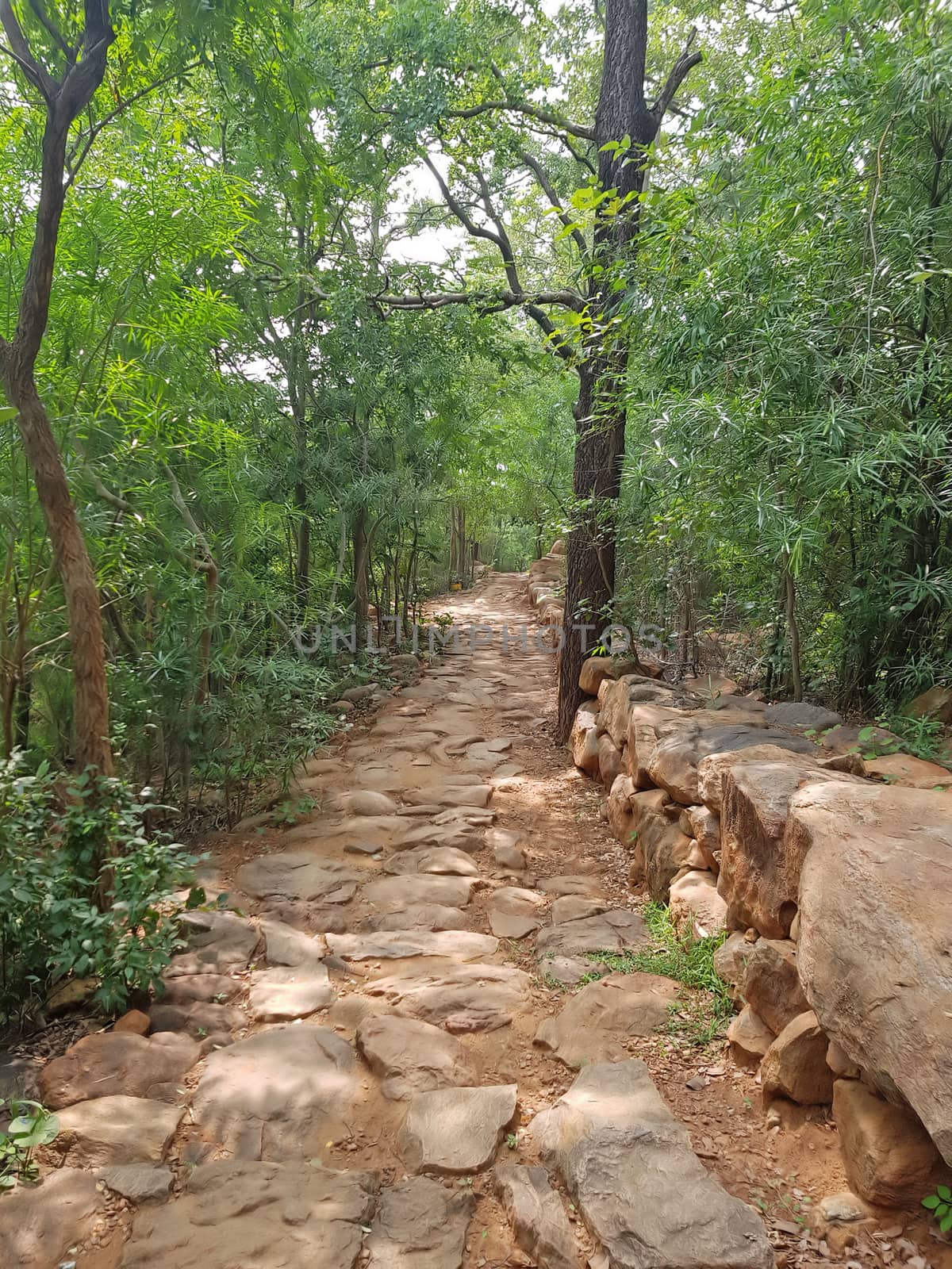 Ancient path going up to Skanda Ashram in Tiruvanamalai India by devy