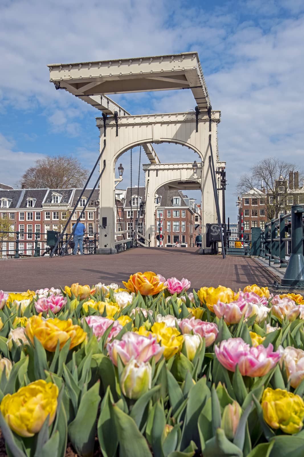 Spring at the Tiny bridge in Amsterdam the Netherlands with blos by devy