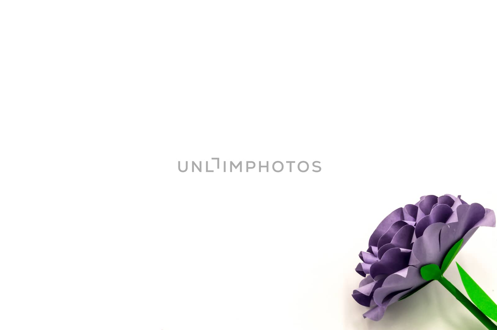 Purple flower paper on isolated background  by Philou1000