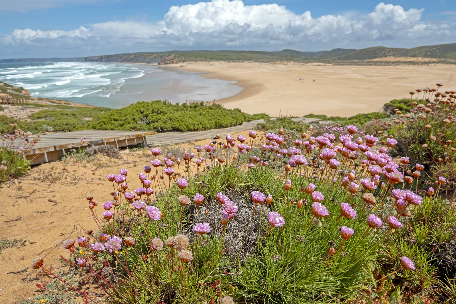 View from Carapateira beach in the Algarve Portugal