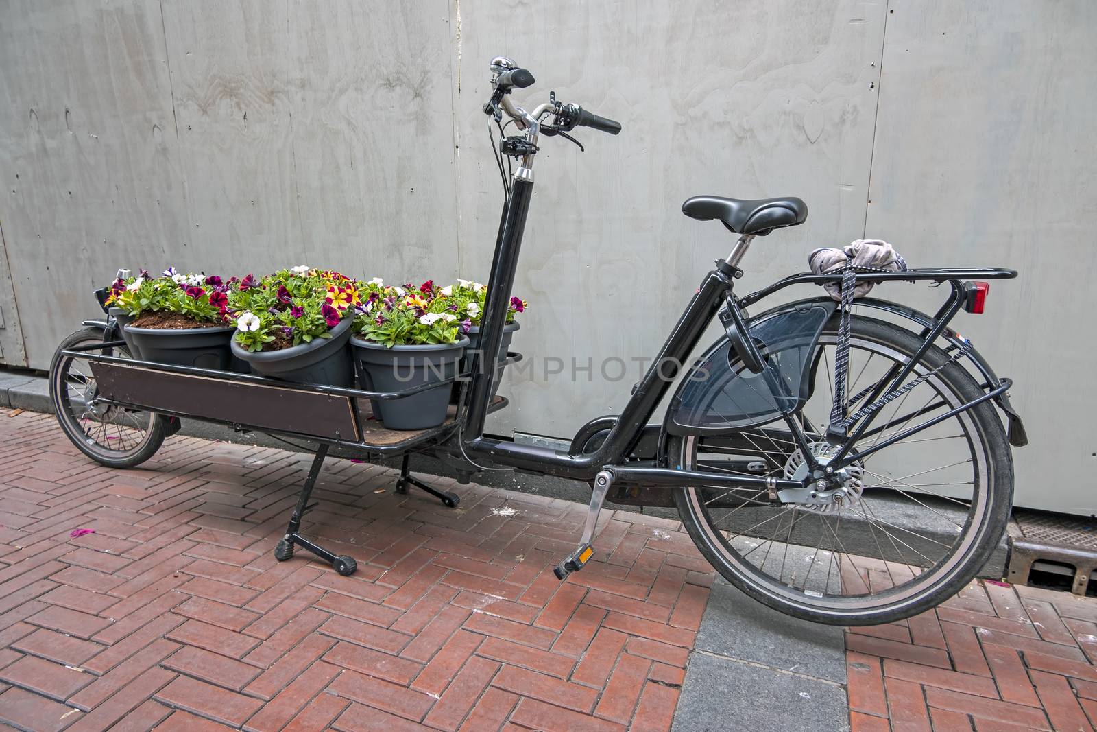 Bike cart full with flowers in Amsterdam the Netherlands