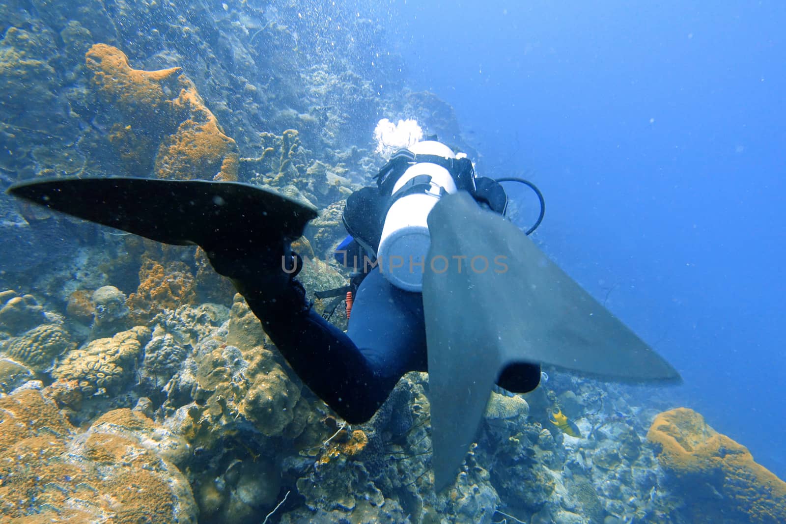 A Scuba diver enjoying a relaxing dive in the ocean. by Jshanebutt