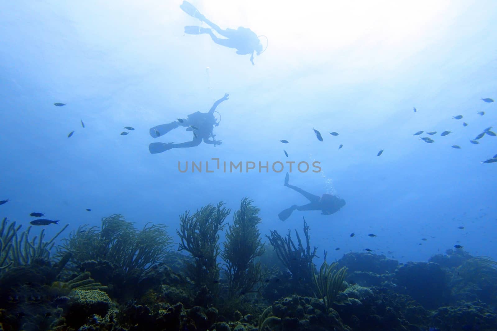 Scuba divers enjoying a relaxing dive in the ocean.  Background and pattern.