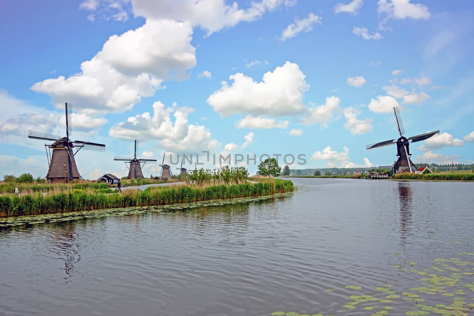 Traditional windmills at Kinderdijk in the Netherlands by devy