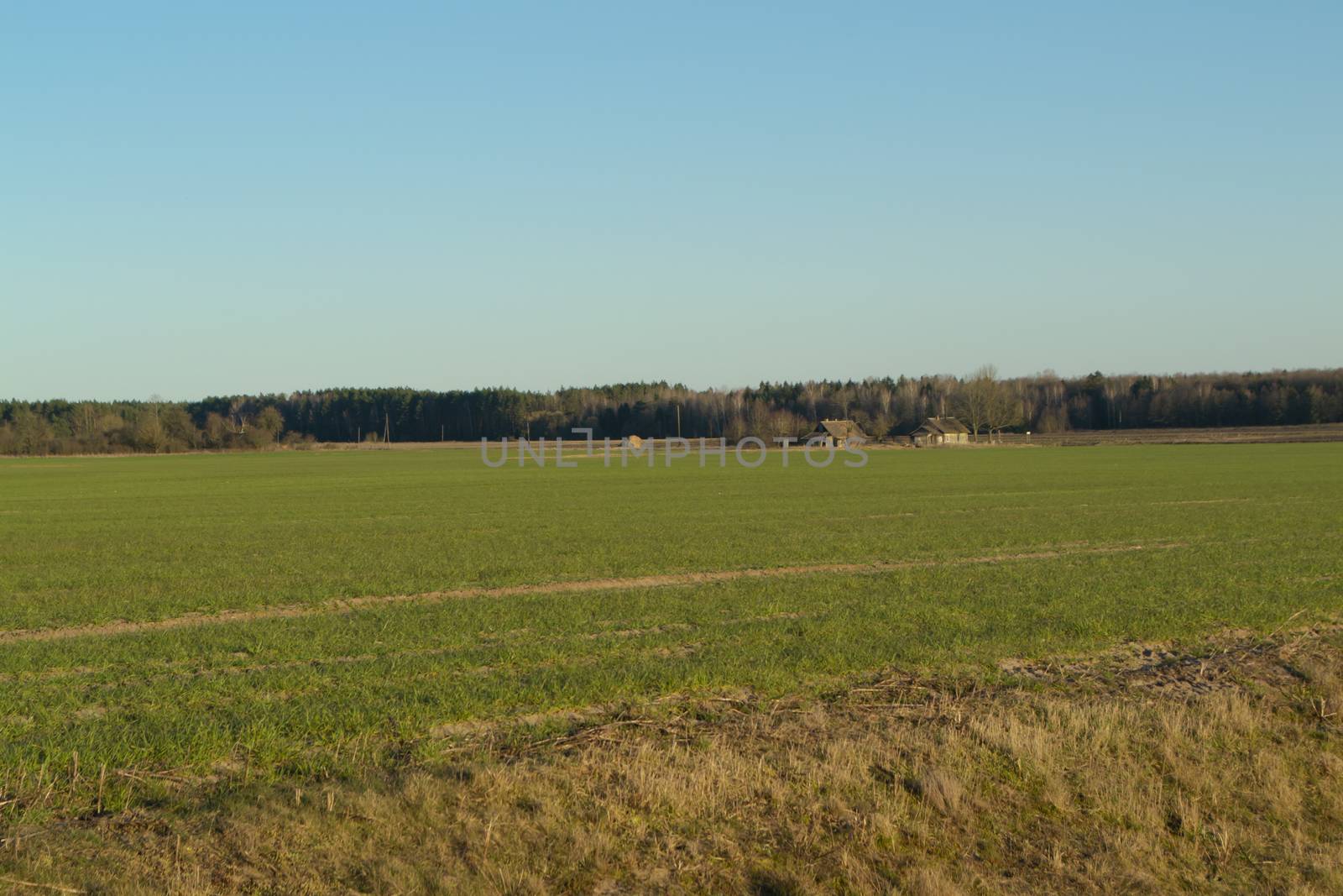 Spring meadows around a rural house, country village