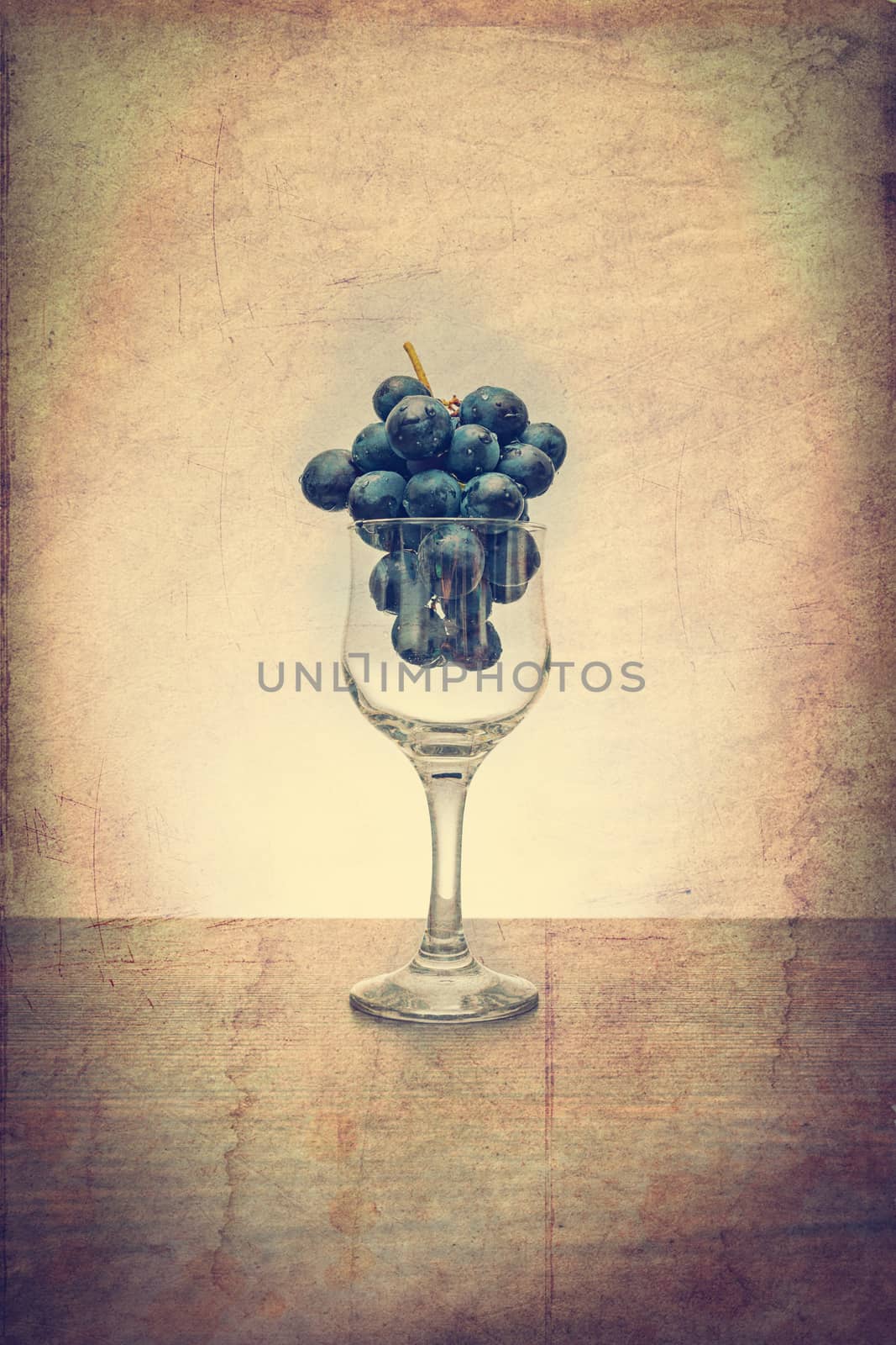 Grapes in wine glass concept vintage filter by marugod83
