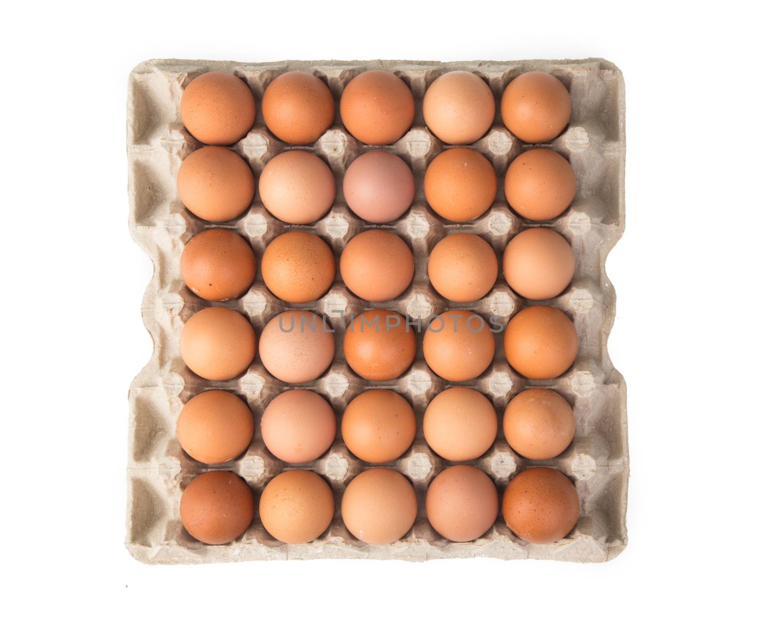 eggs isolated on white background