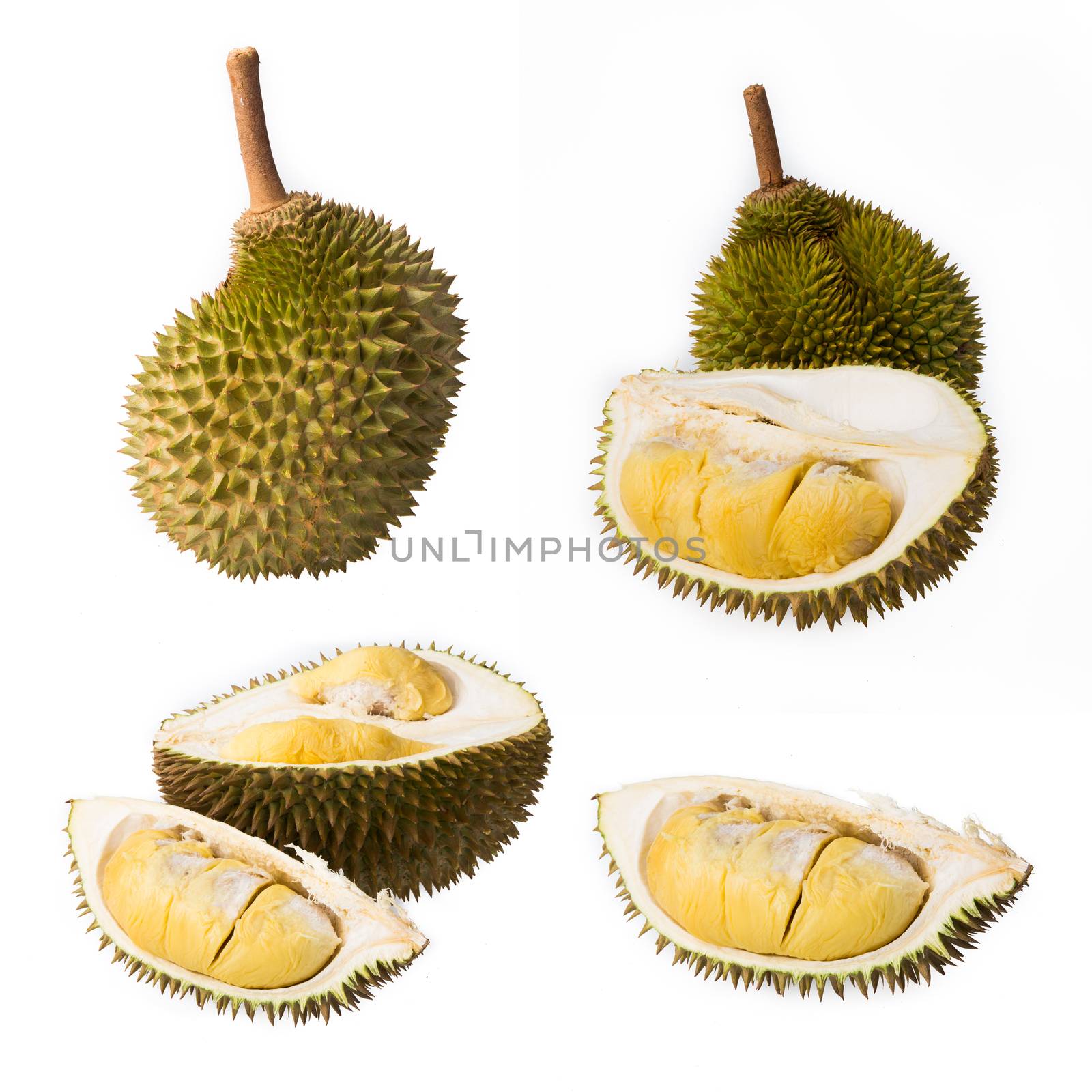 durian isolated on white background by tehcheesiong