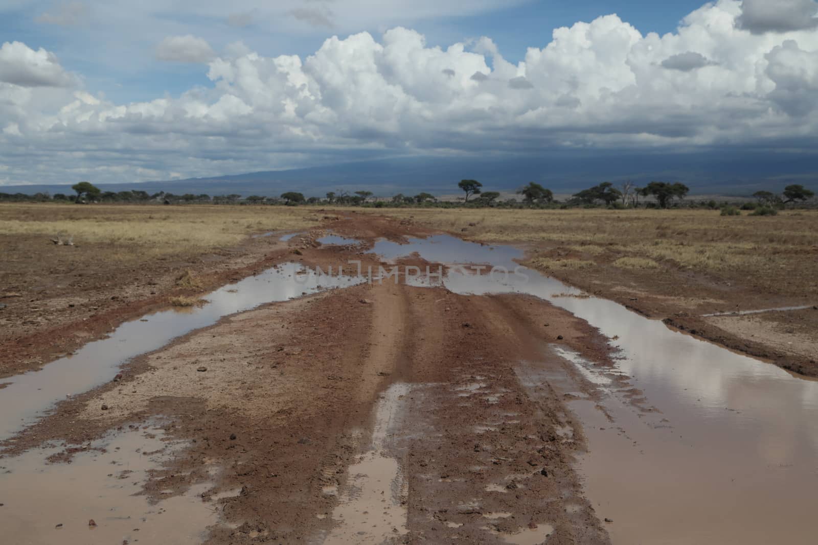 Damaged Rural Road Texture Masai Mara Kenya Africa