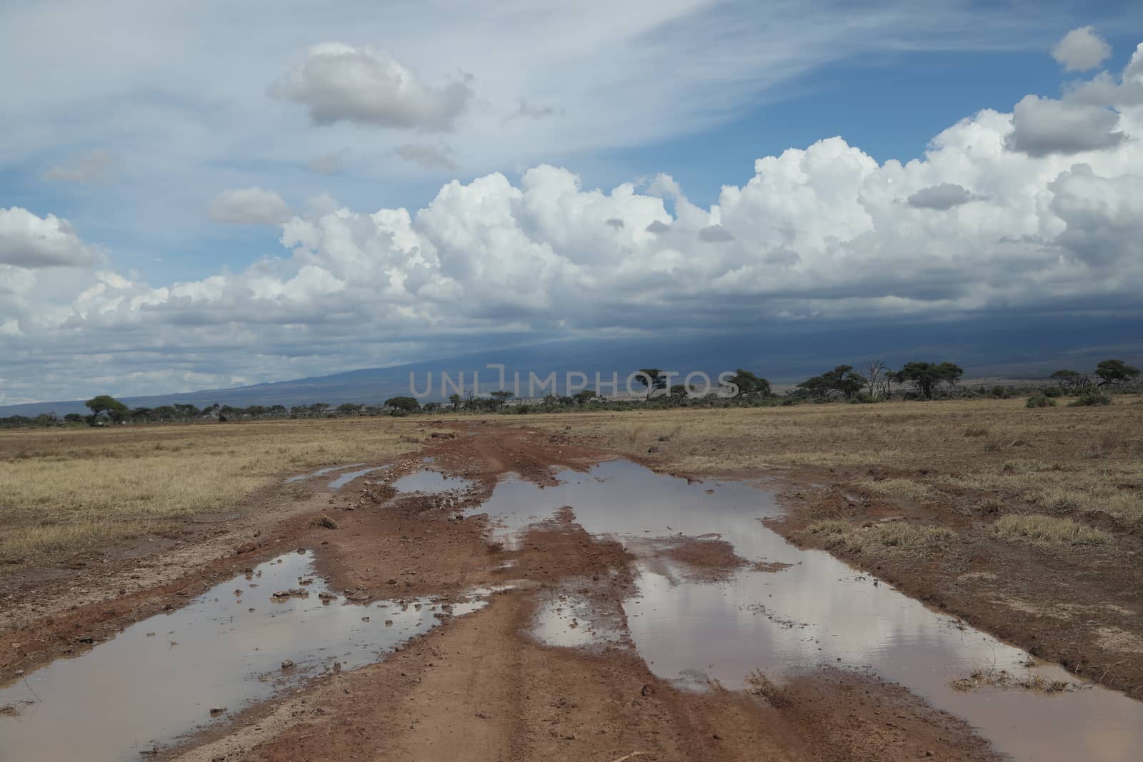 Damaged Rural Road Texture Masai Mara Kenya Africa