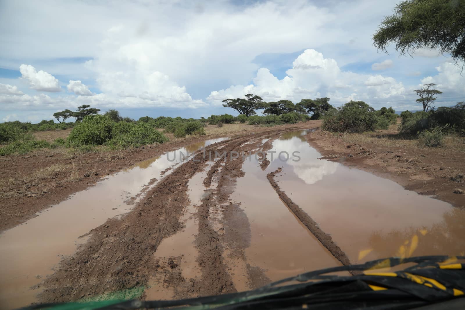 Damaged Rural Road Texture Masai Mara Kenya Africa