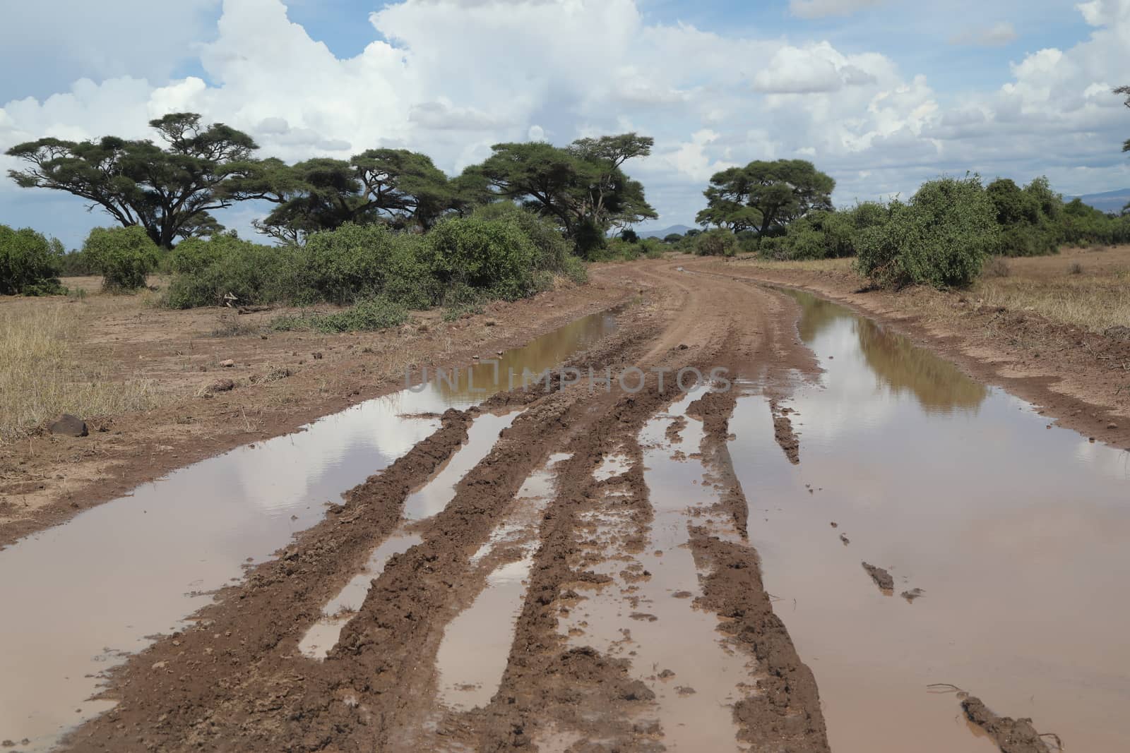 Damaged Rural Road Texture Masai Mara Kenya Africa