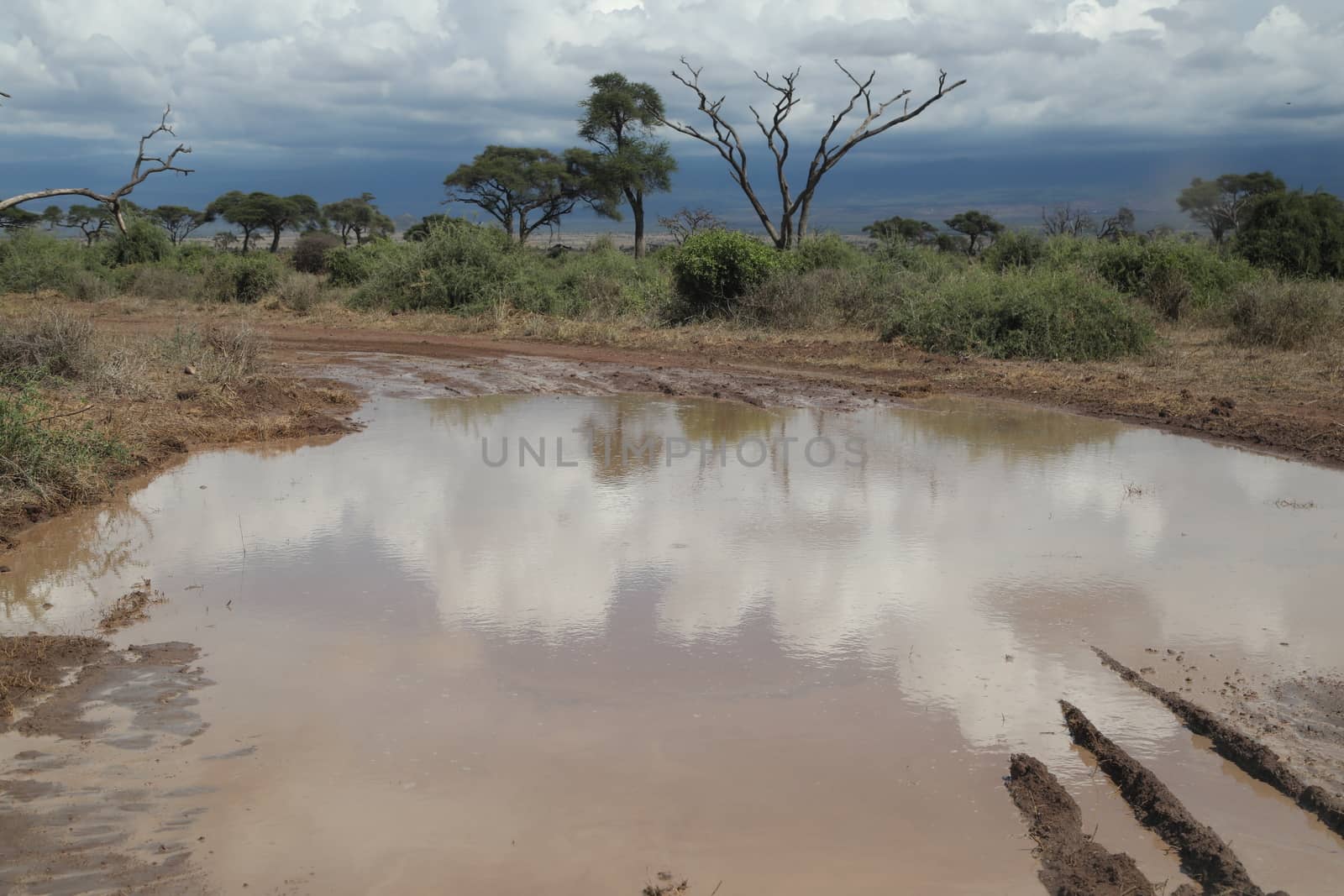 Damaged Rural Road Texture Masai Mara Kenya Africa