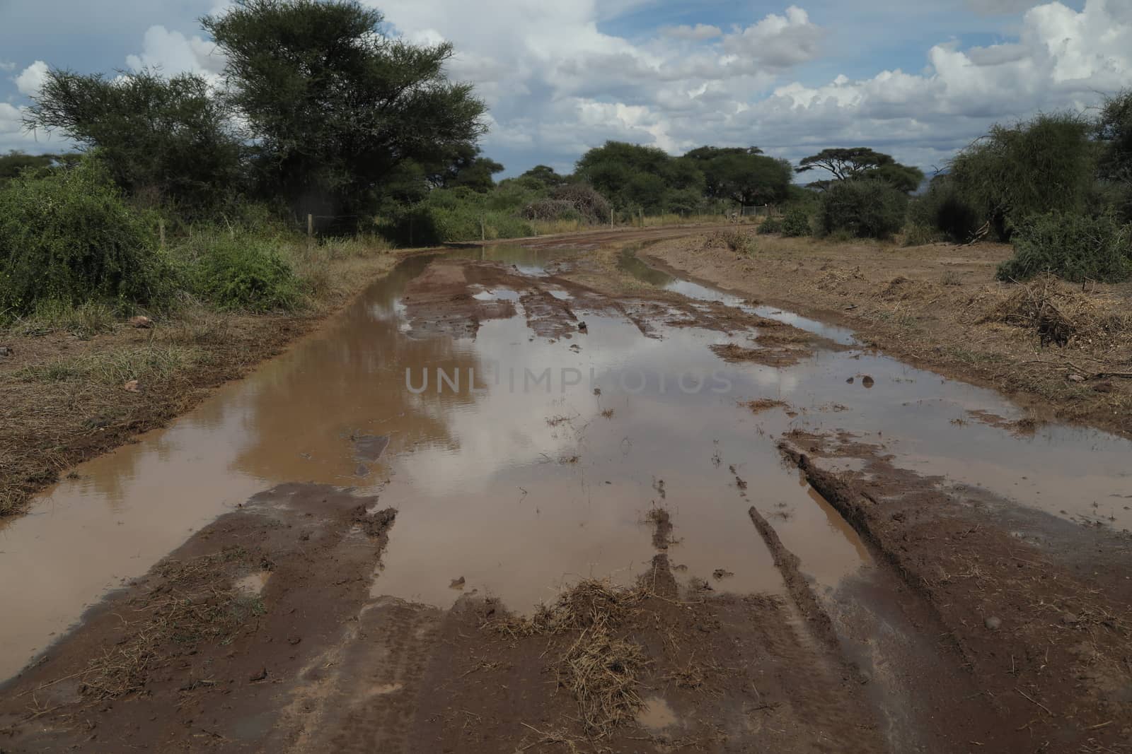 Damaged Rural Road Texture Masai Mara Kenya Africa