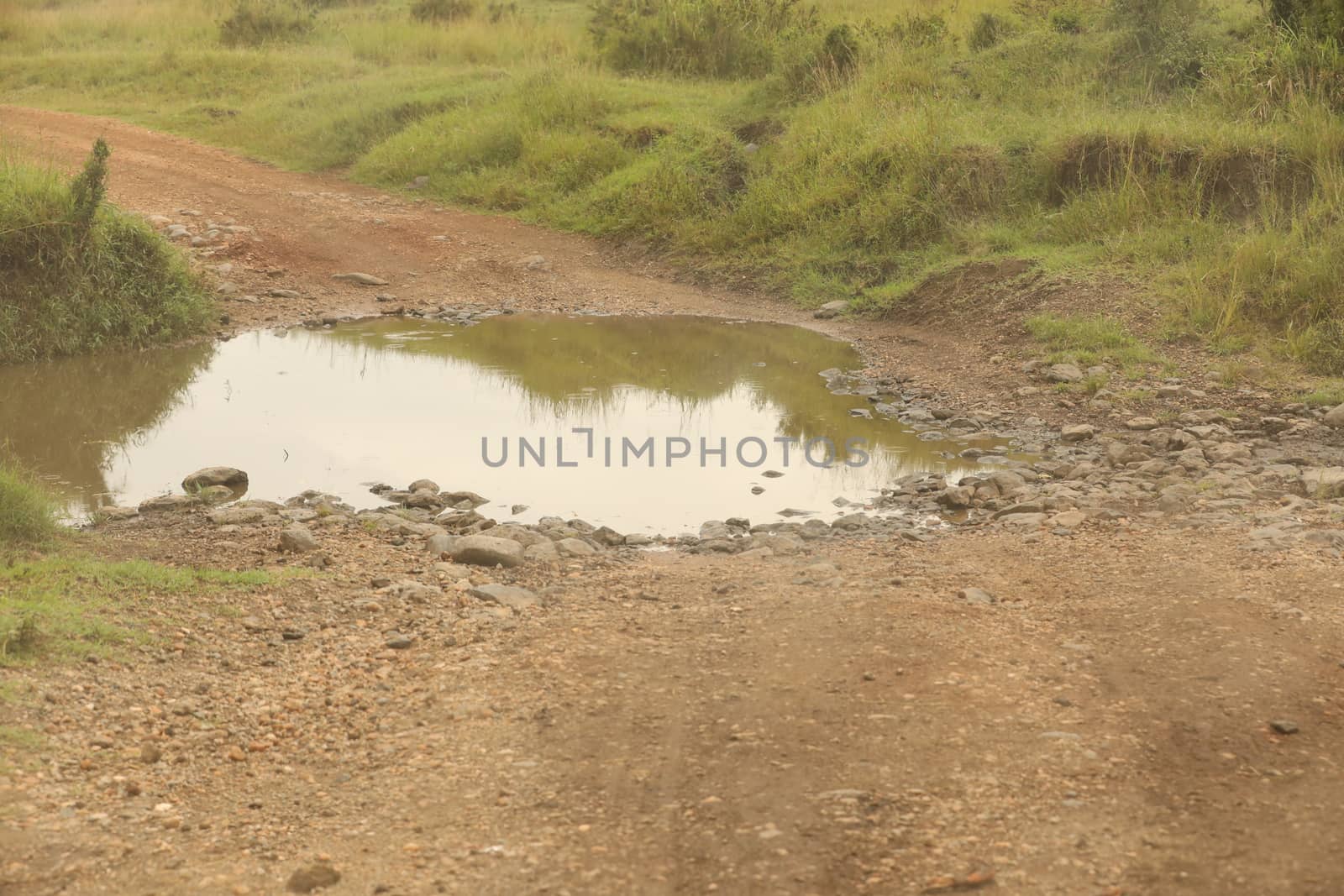 Damaged Rural Road Texture Masai Mara Kenya Africa