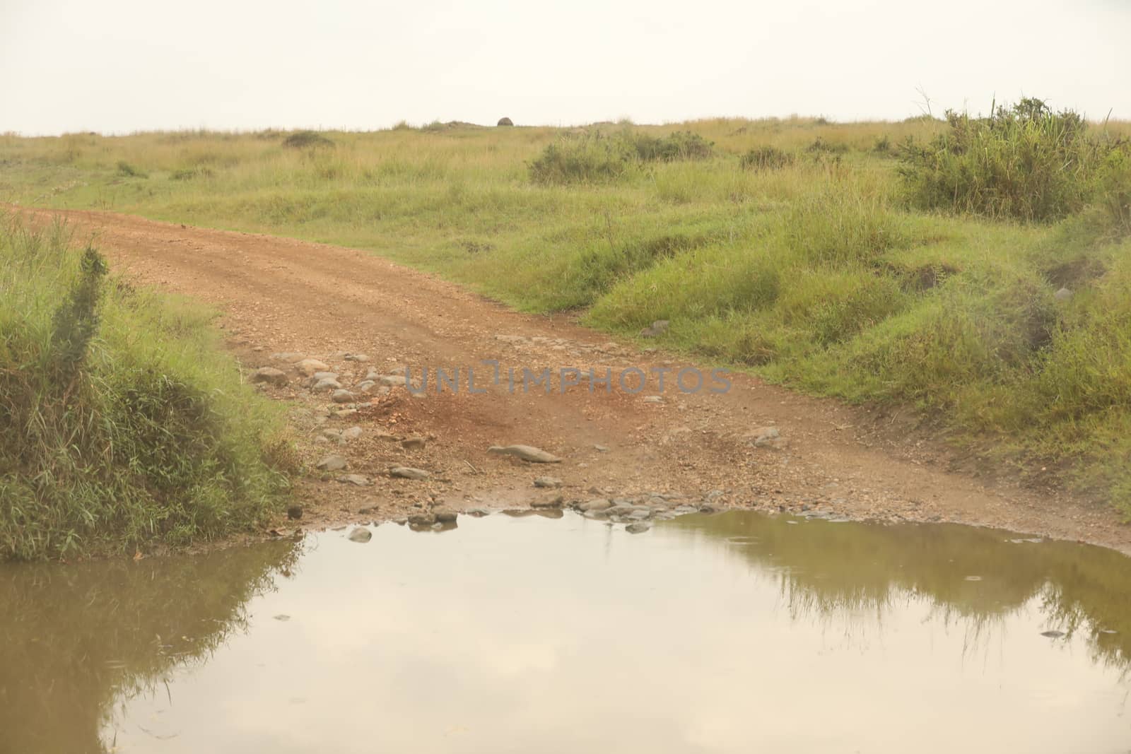 Damaged Rural Road Texture Masai Mara Kenya Africa