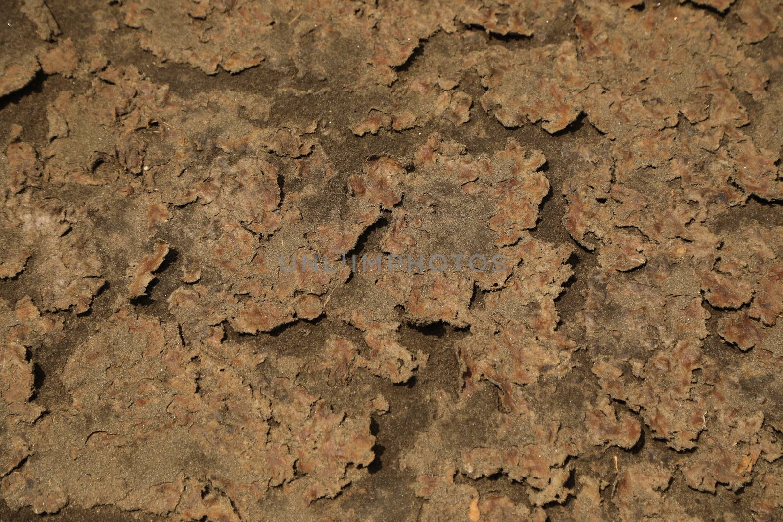 Drainage water flowing Texture Kenya