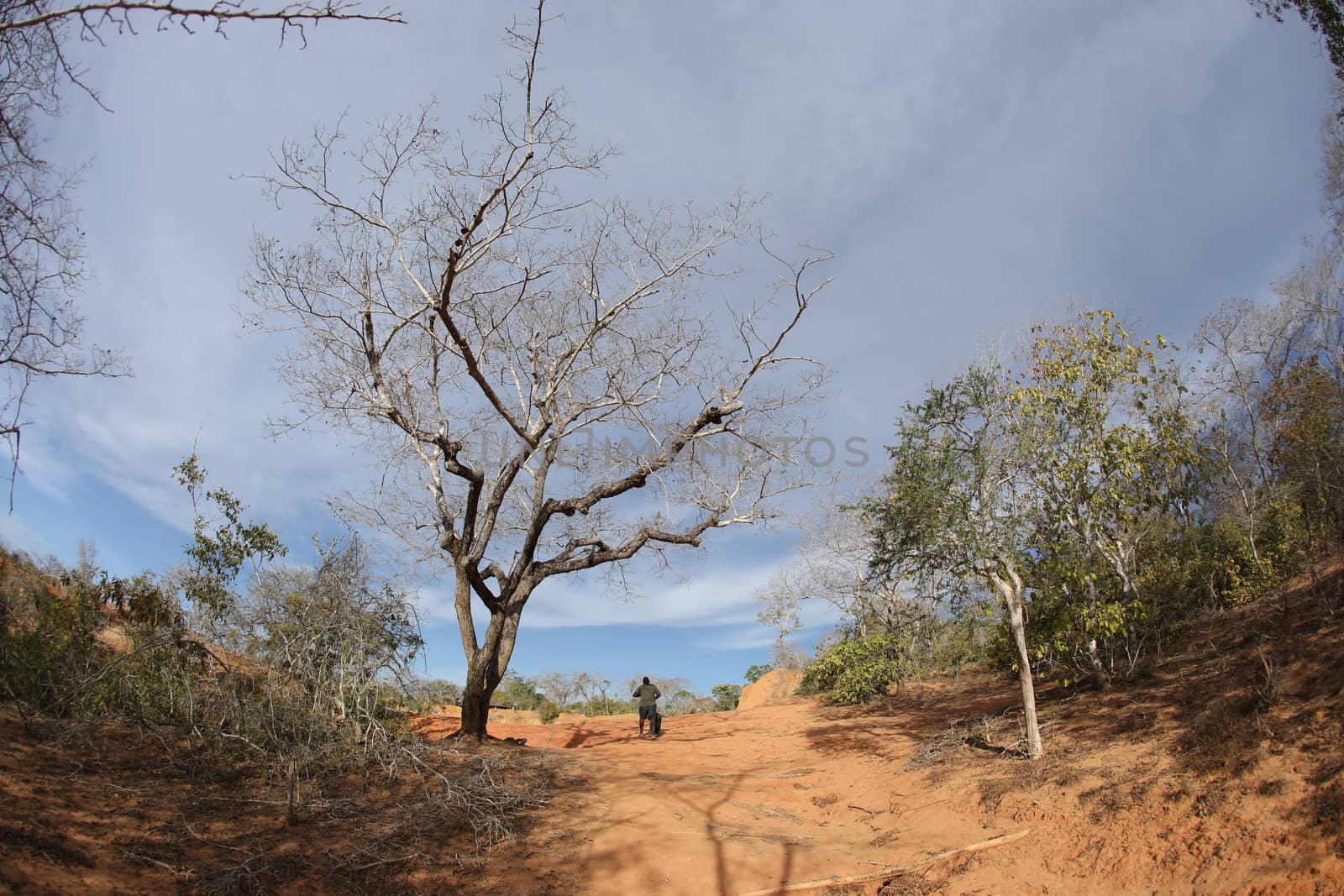 Hells Kitchen Canyon In Malindi Kenya Africa