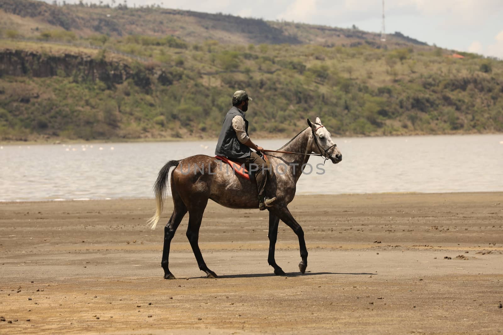 Horse Riding in water Masai Mara Kenya Africa