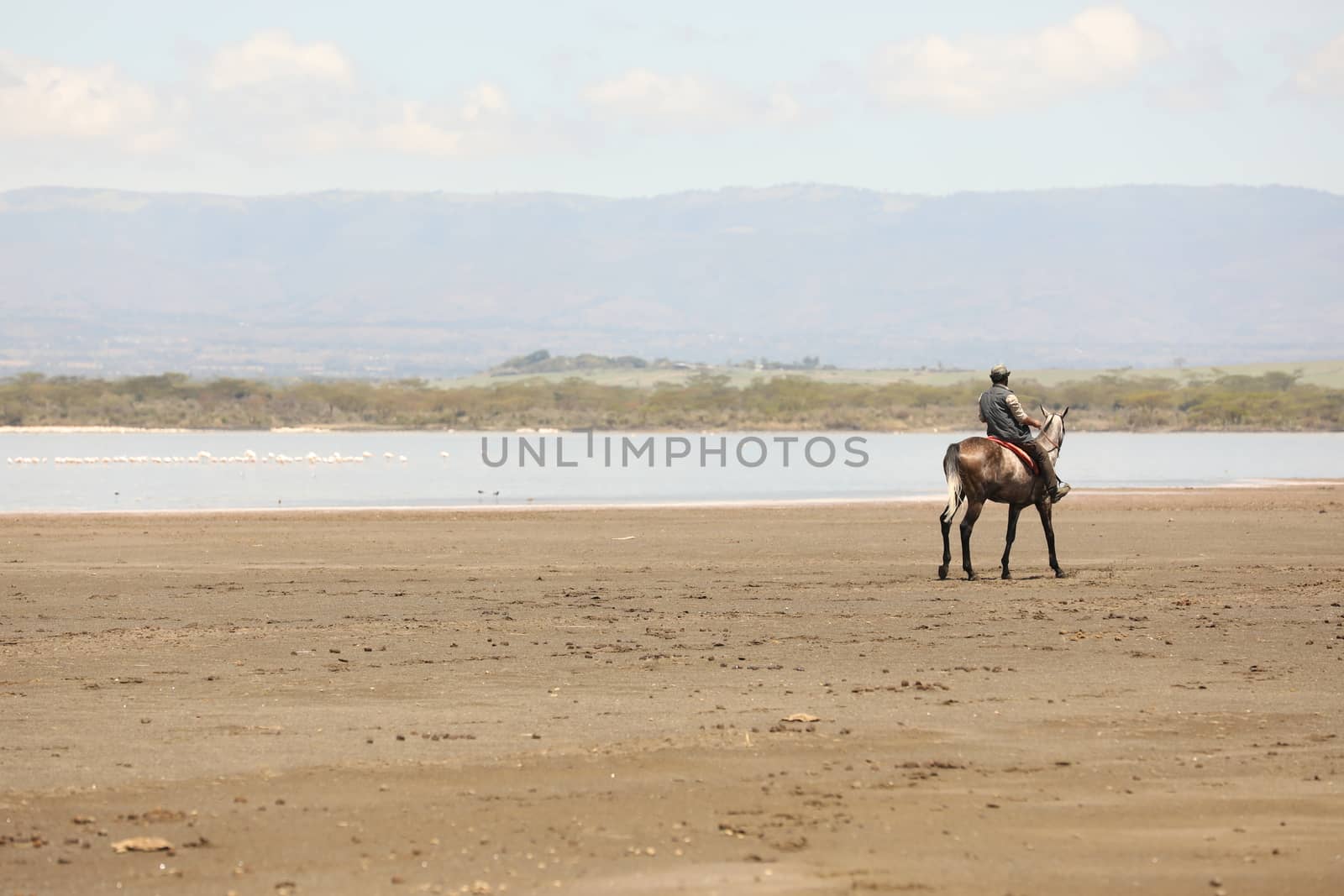 Horse Riding in water Masai Mara Kenya Africa