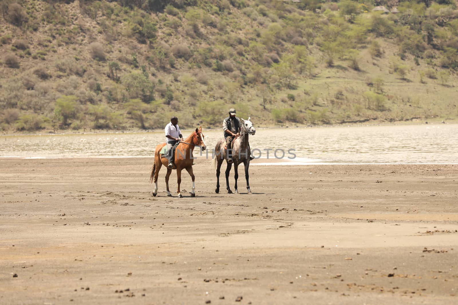 Horse Riding in water Masai Mara Kenya Africa