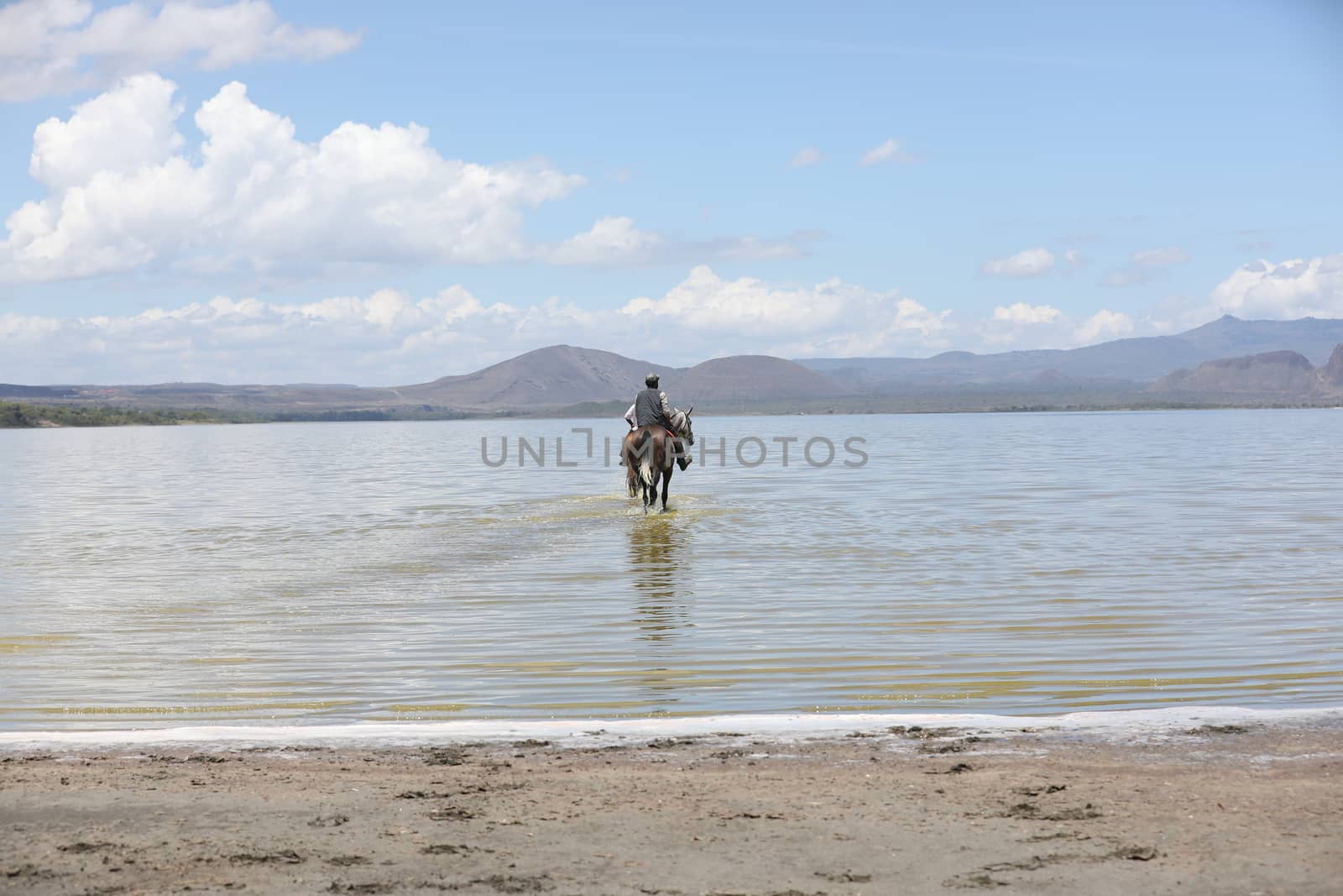 Horse Riding in water Masai Mara Kenya Africa