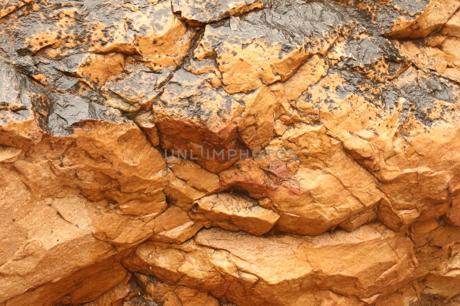 Raw stone Texture close up