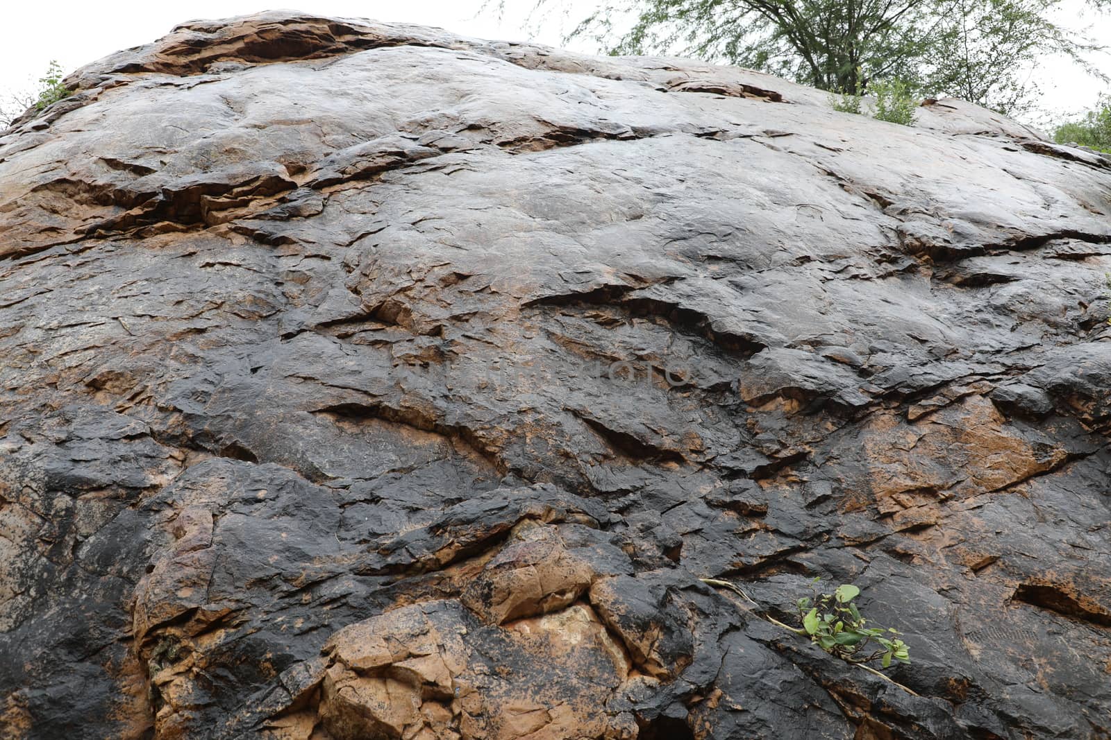 Raw stone Texture close up