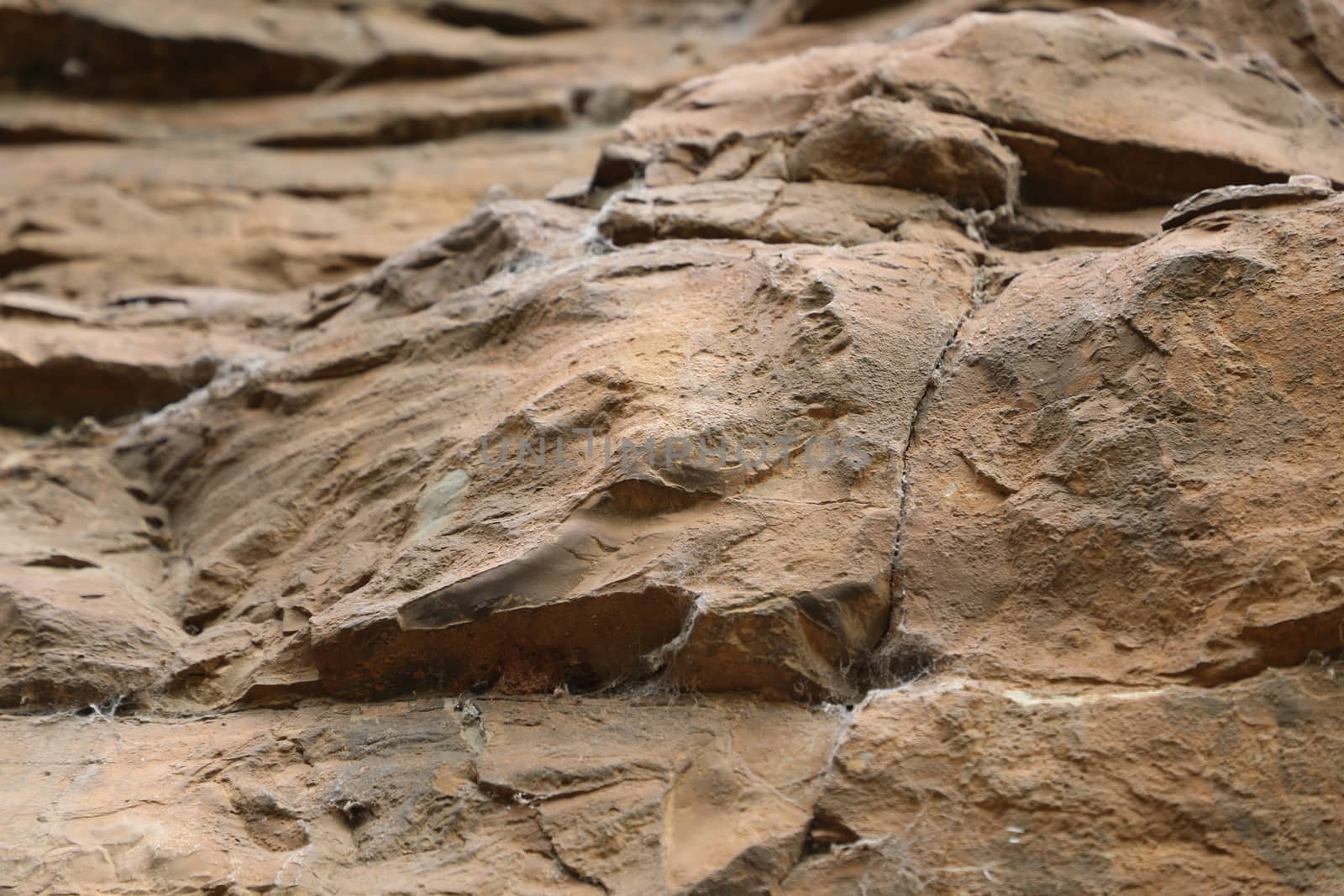 Raw stone Texture closeup