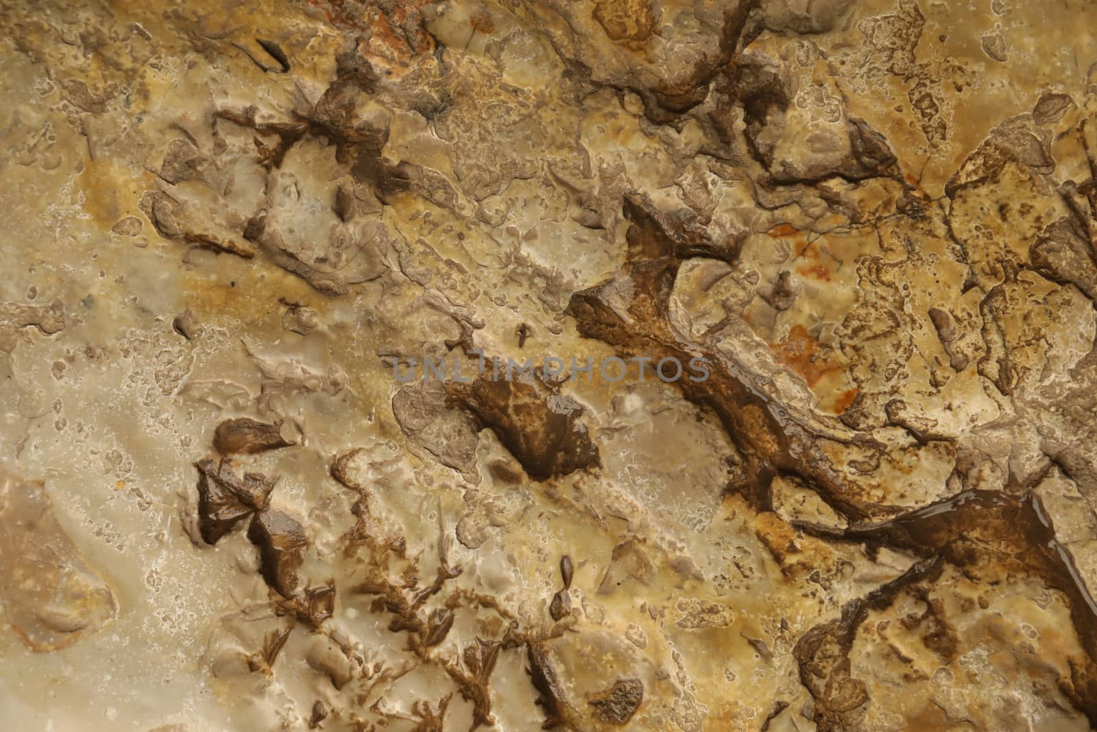 Raw stone Texture closeup