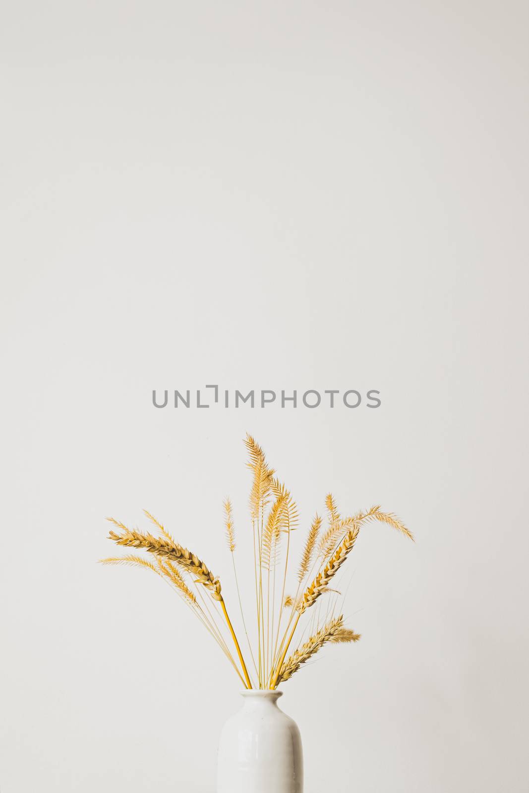 Spikelets or wheat in a vase. Home decoration elements in sparse pastel background