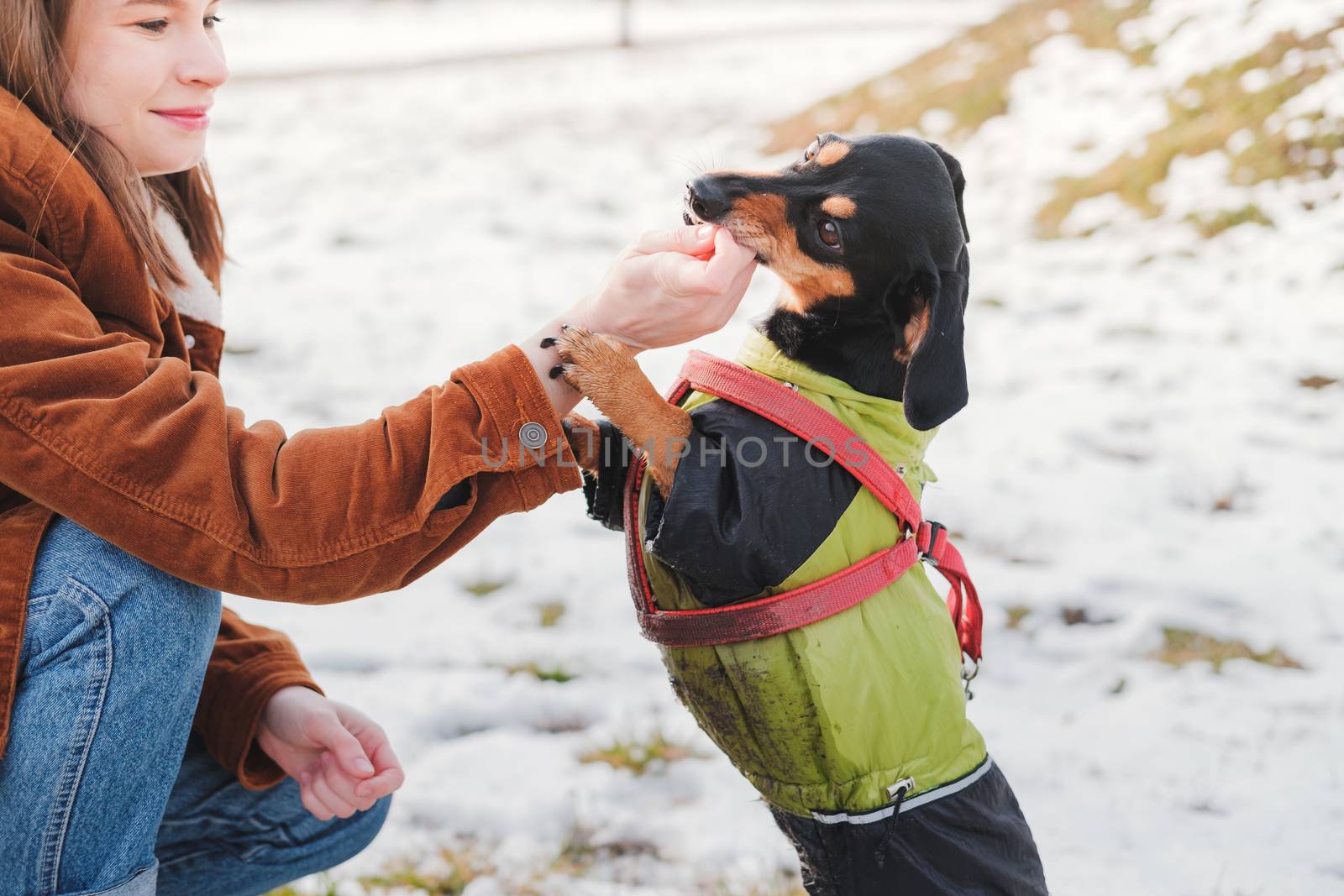 Young woman interacting with her pet at a walk by photoboyko