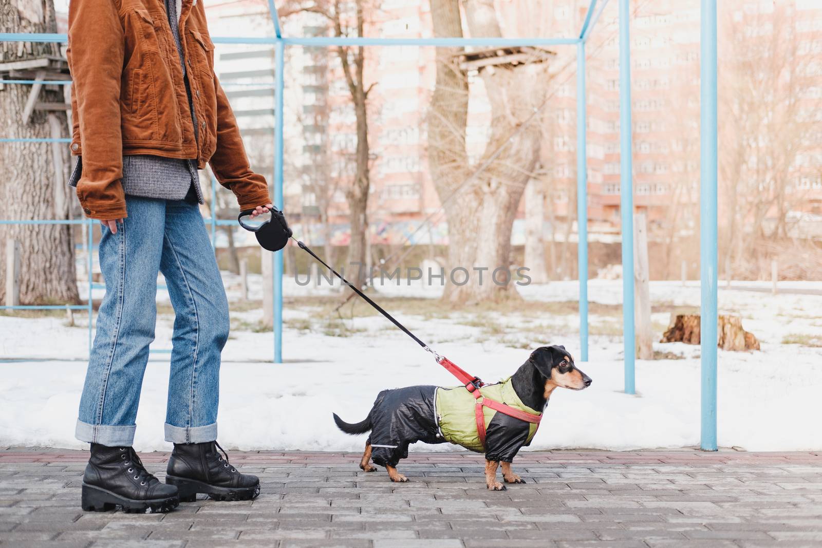 Walking a dog on the leash at park. by photoboyko