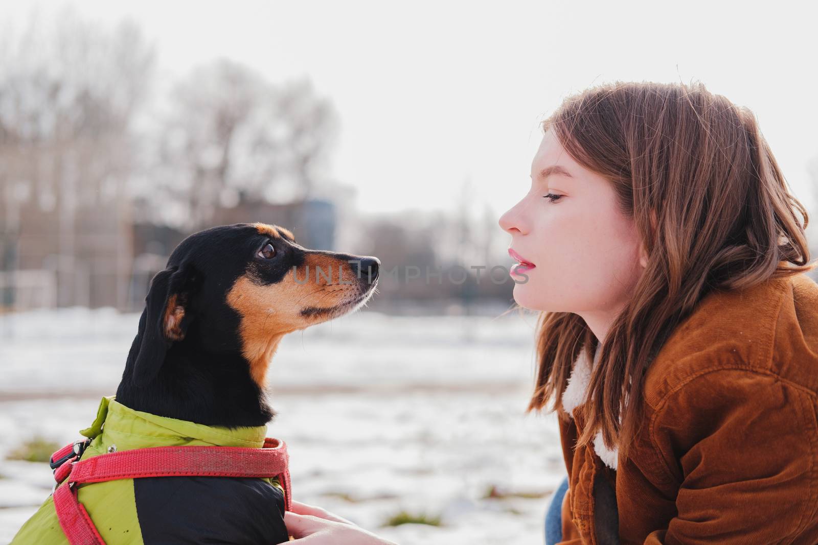 Portrait of a young woman and her lovely dachshund dog. Female and her pet at walk in the park, cold sunny day
