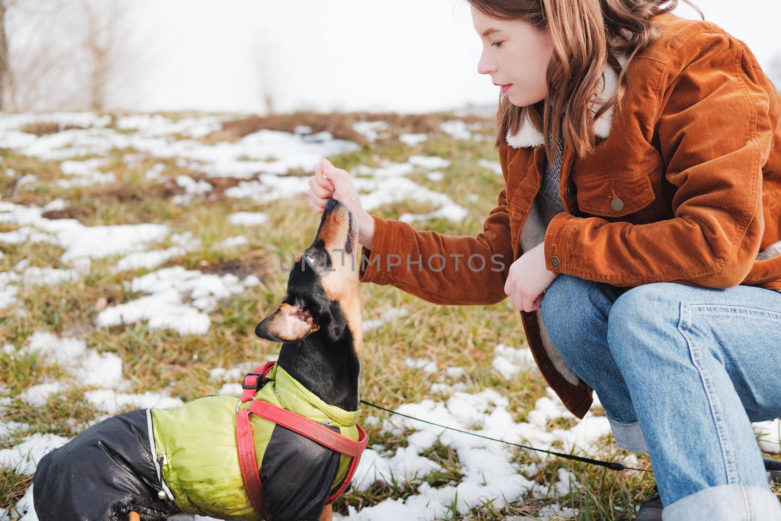Female person and a dachshund at walk. Spending time with a dog outdoors