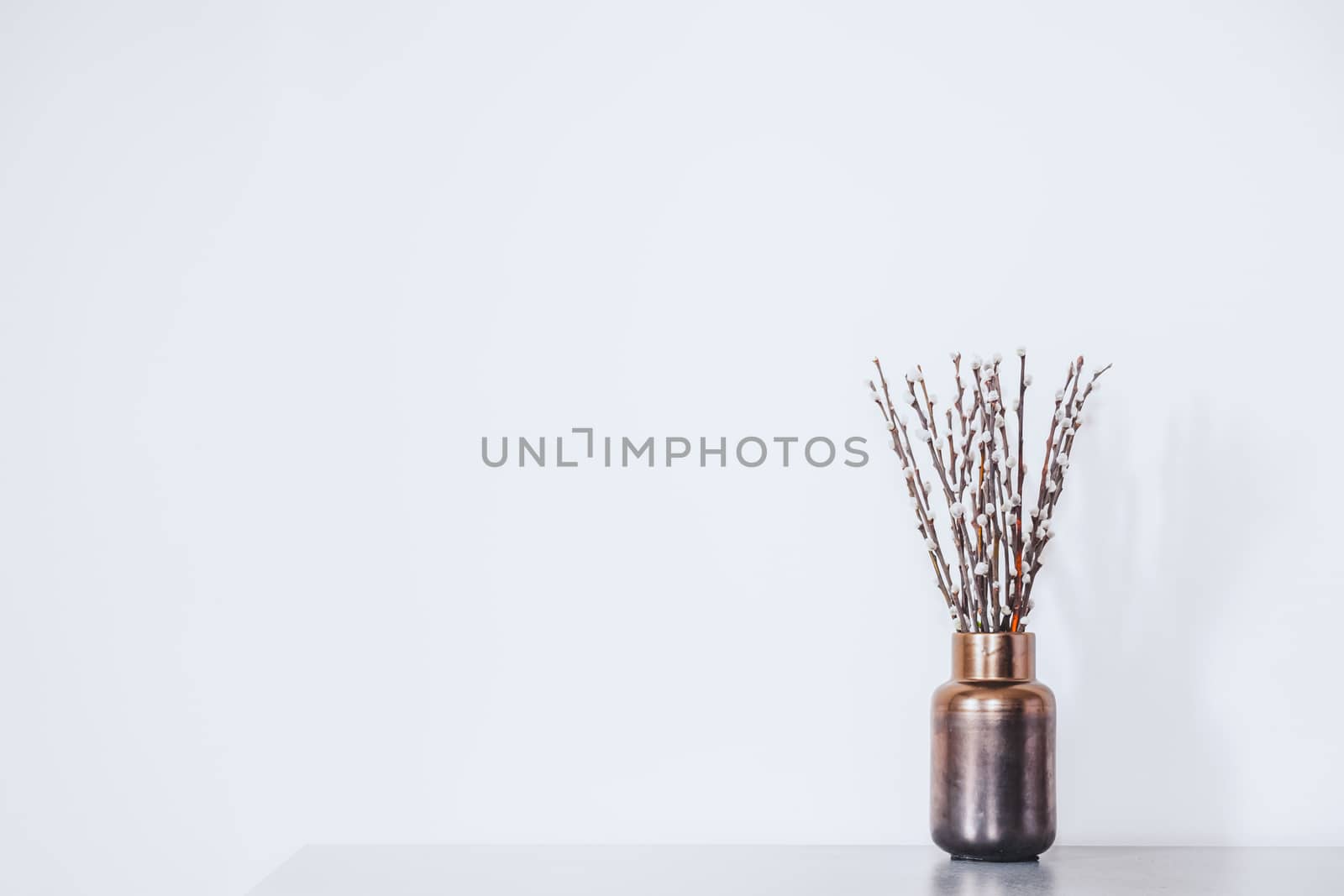 Twigs with buds in a vase against the white wall. by photoboyko