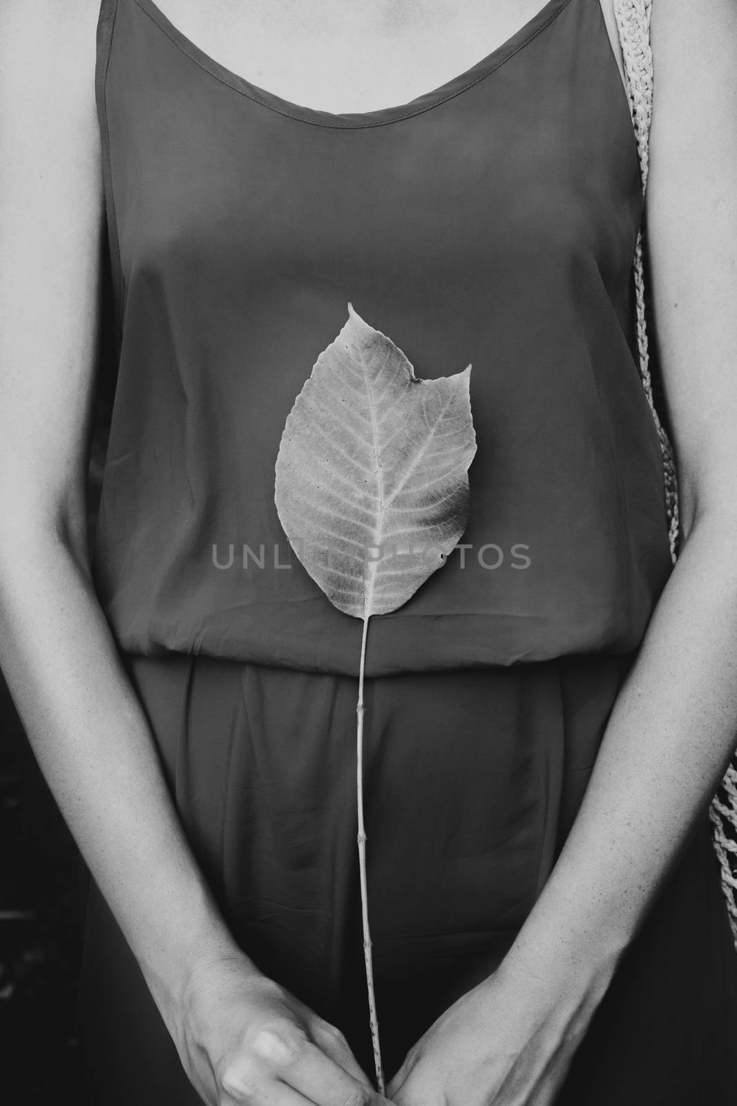 Woman in red dress holds an exotic green leaf, low key monochrome. Appreciating, loving nature concept: female with a beautiful leaf on her body