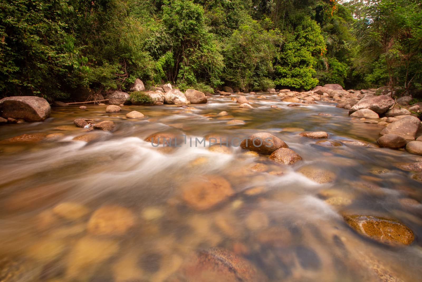 Slow motion water flow at recreational forest area Sungai Sedim, Kulim, Kedah.