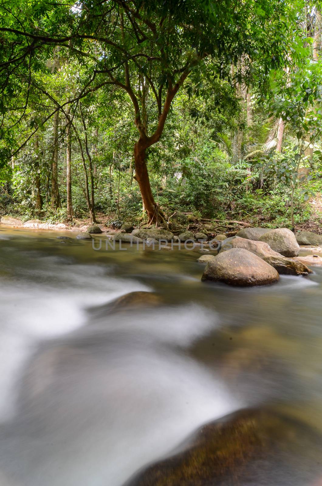 Slow motion water flow at Sungai Sedim rainforest. by cloudyew