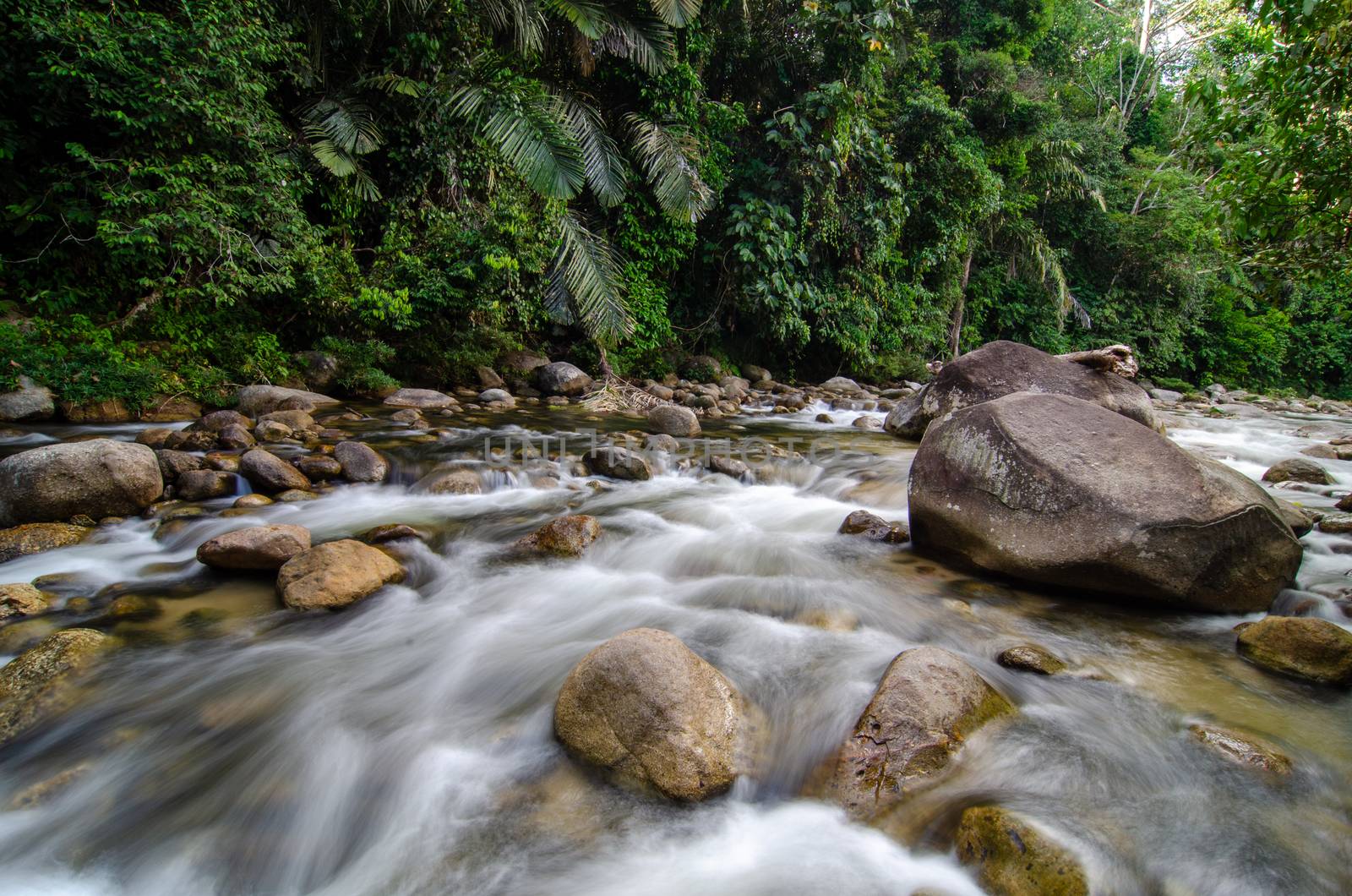 Slow motion water flow in the river at Sungai Sedim, Kedah.