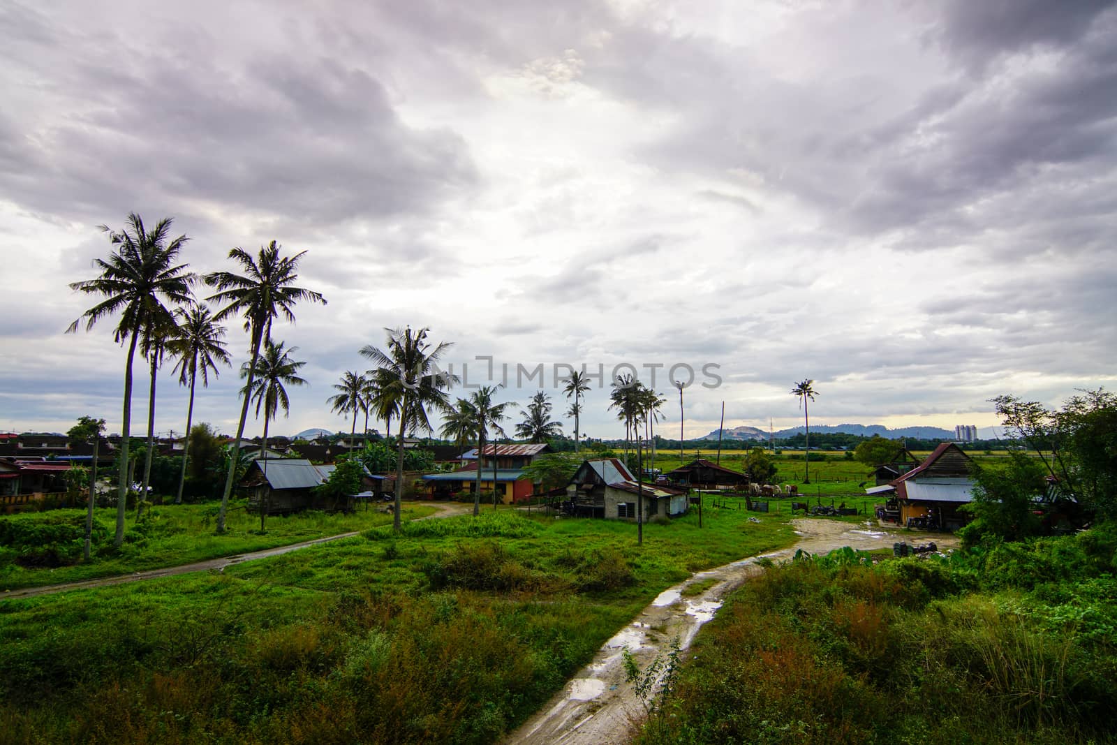 Aerial view small path towards Malays village kampung house at Penang, Malaysia in cloudy day.