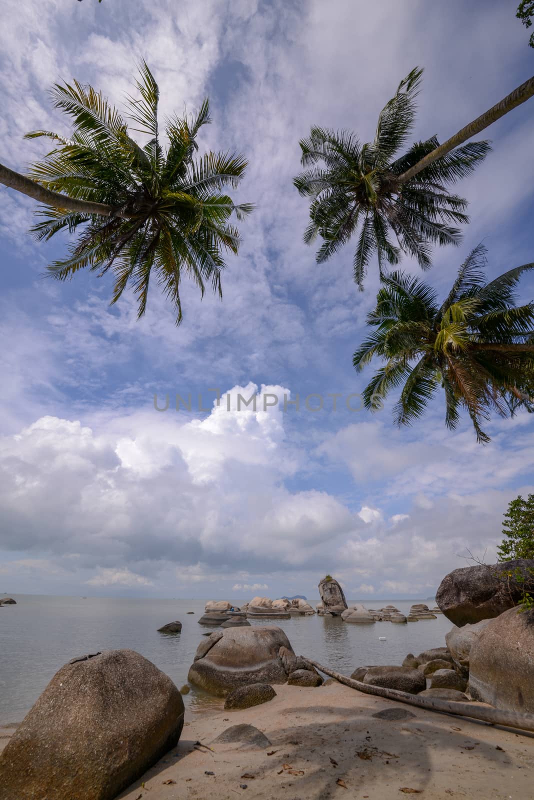 Beautiful scenery coconut trees and rock at beach near permatang Damar Laut, Penang.