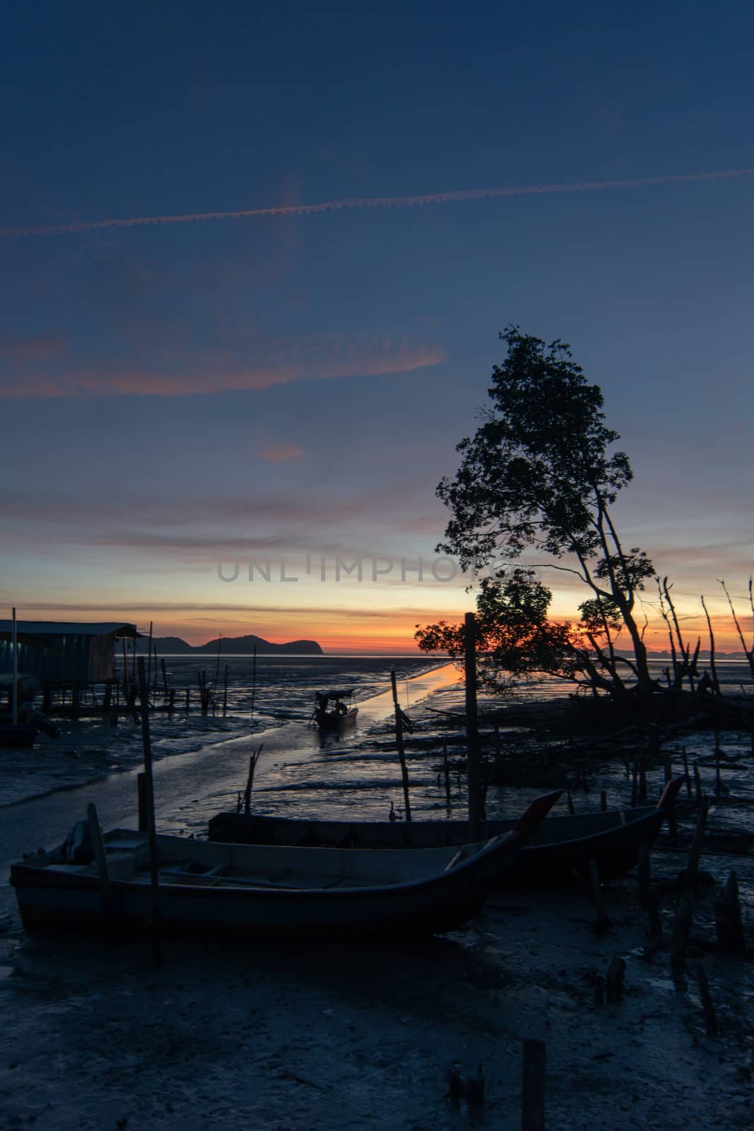 Sunset at fishing village beside mangrove tree at Penang, Malaysia.