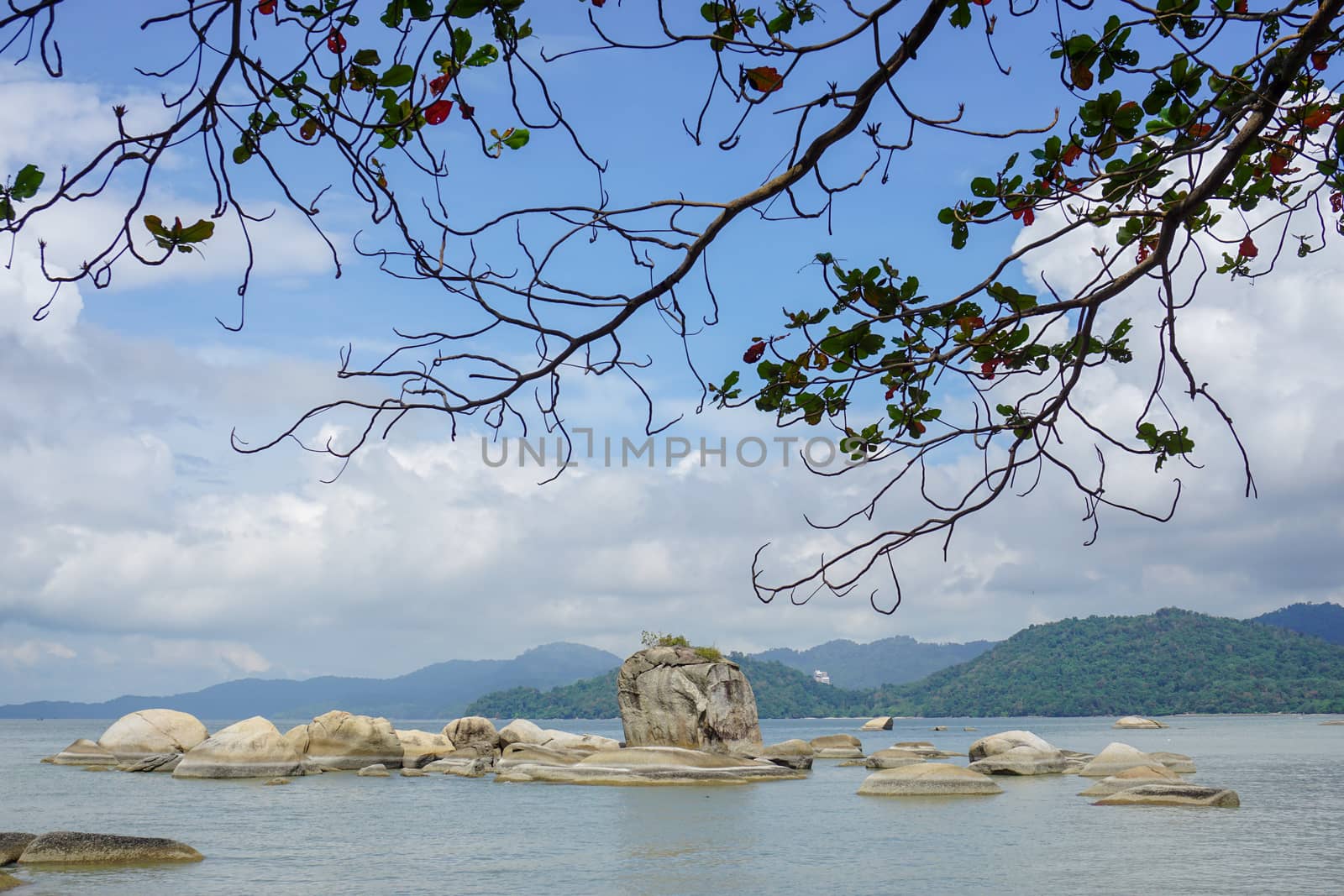 View of rock beside the beach.