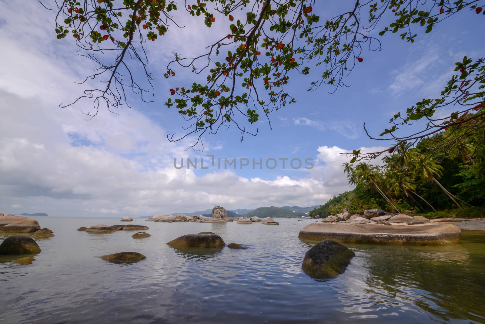 Green scenery near the coastal at Permatang Damar Laut, Pulau Pinang.