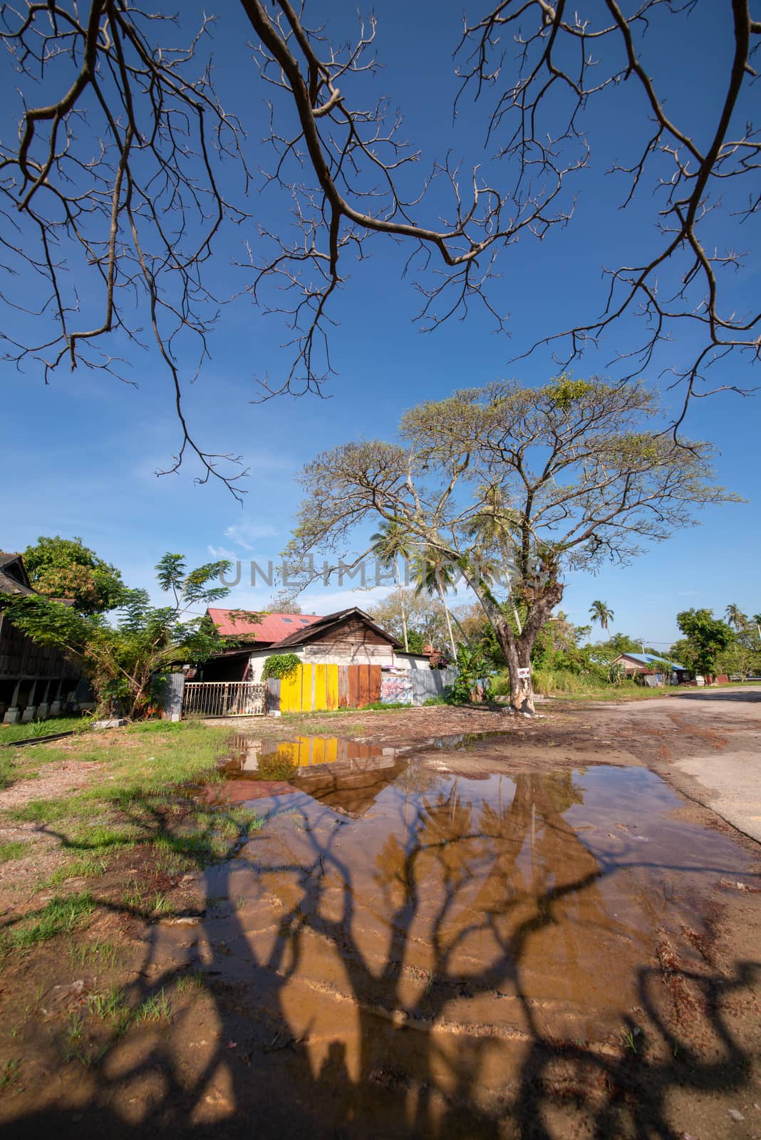 A wooden house in reflection with trees shadow at Penaga, Penang.