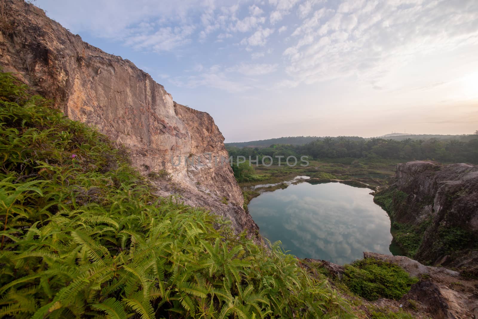 Green scenic view at lake near Guar Petai.