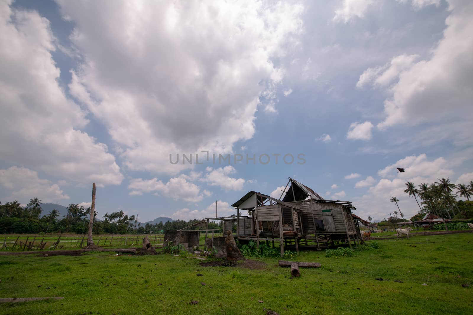 Dilapidated traditional wooden hut in the farm.