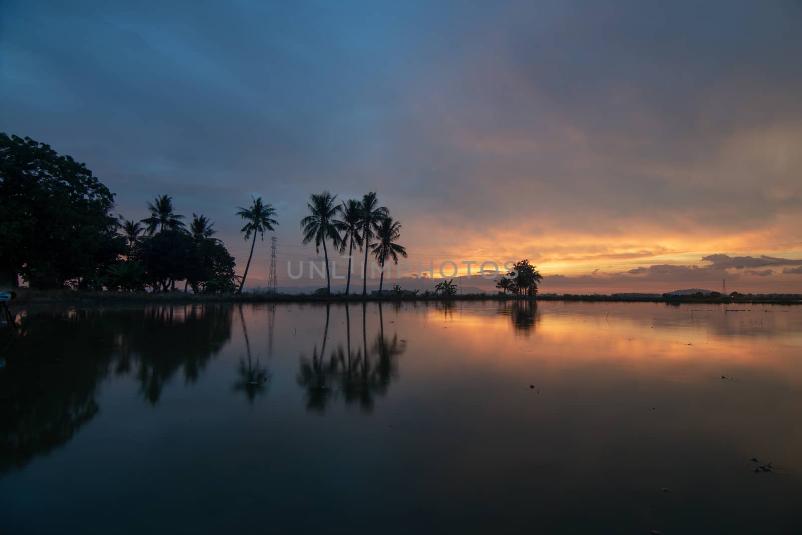 Colorful tropical sunset over coconut in reflection at Bukit Mertajam.
