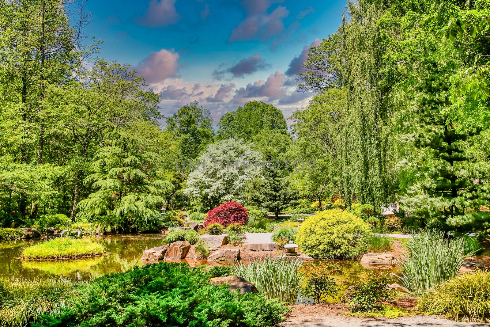 A beauifully landscaped Japanese garden in the summer